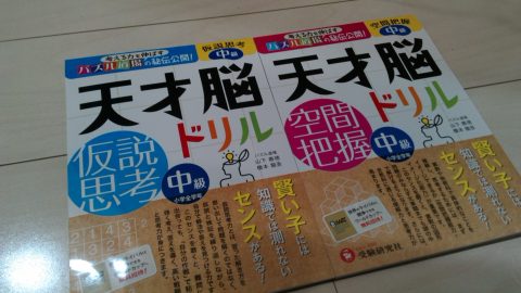 パズル系ドリル 天才脳ドリル シリーズは大人の脳トレにもいい